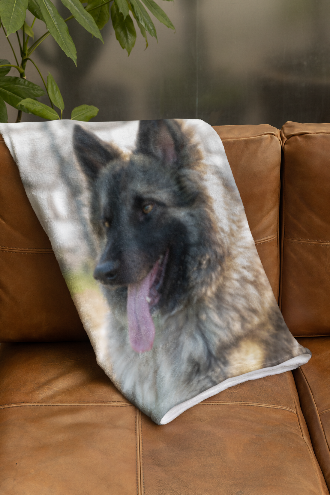 5 Ways a Pet Blanket Makes Your Home Cozier