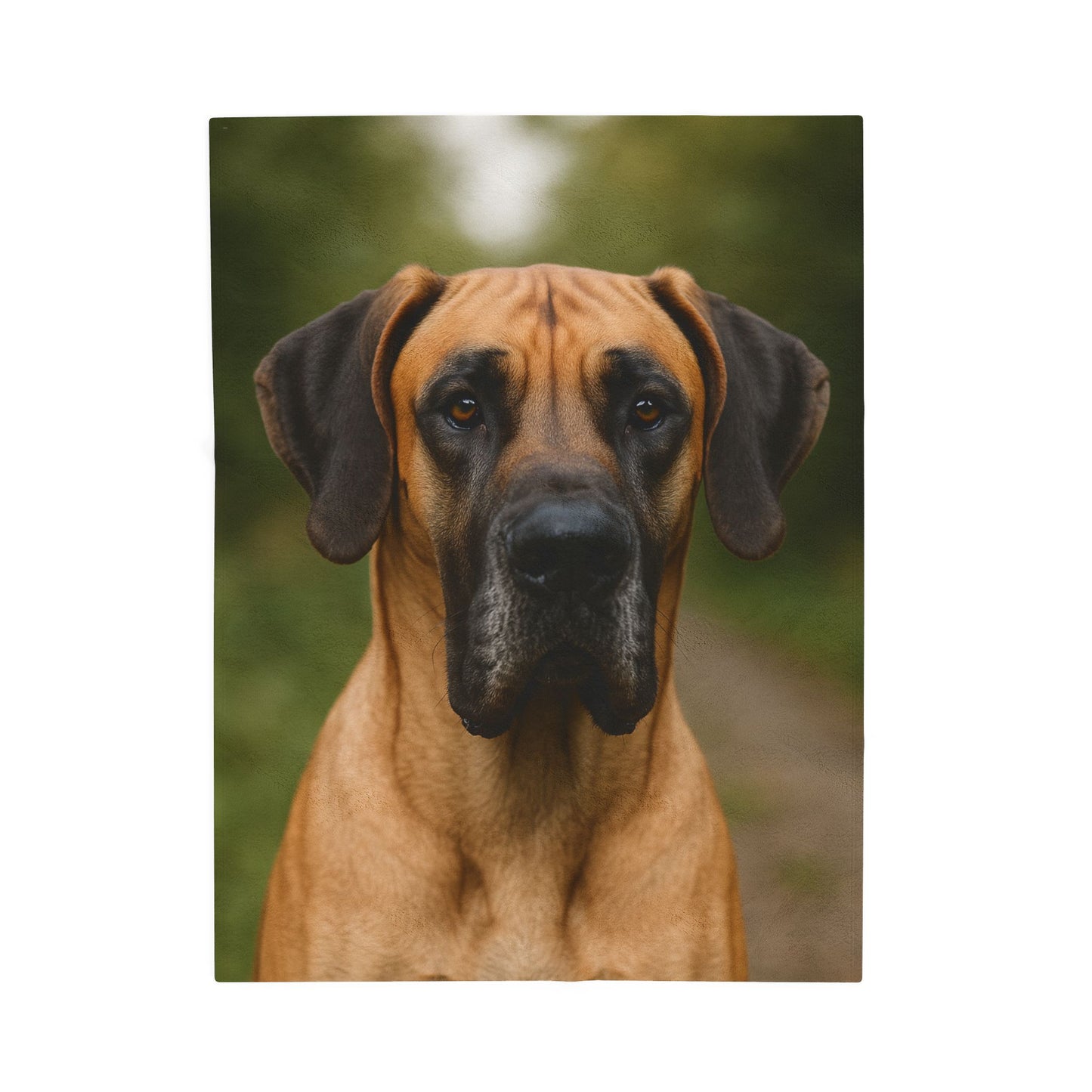 Cozy Pet-Inspired Velveteen Plush Blanket, Dog Lover Gift, Home Decor, Warm Throw, Animal Blanket, Snuggle Blanket